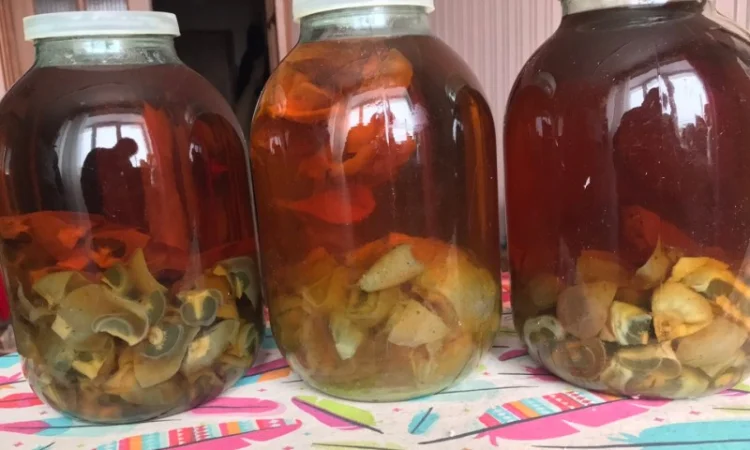 Продам гриб Веселку - 2024 - фото № 1