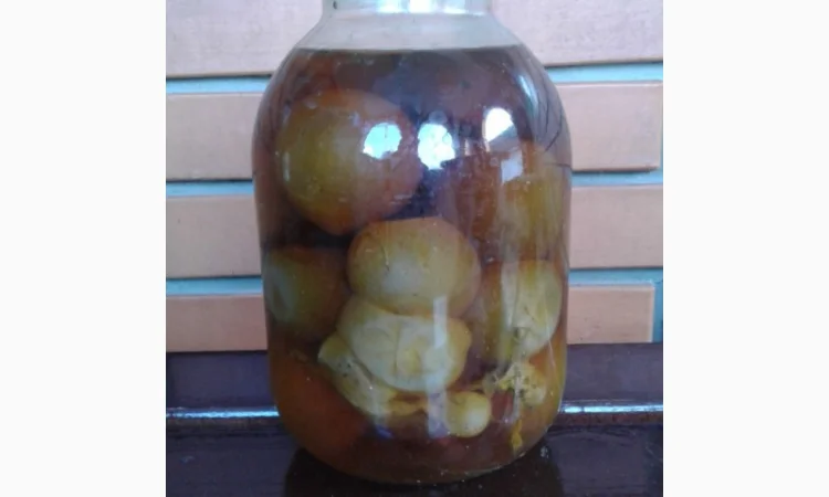 Продам настойку гриба веселка - фото № 1