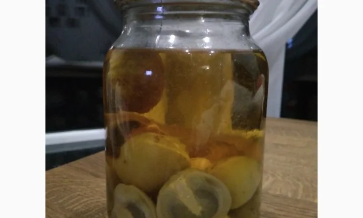 Гриб веселка настоянка - фото № 1