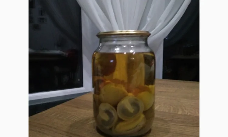 Гриб веселка настоянка - фото № 2