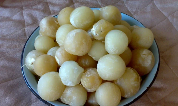 Мицелий веселки. Веселка обыкновенная. Выращивание в домашних условиях - фото № 6