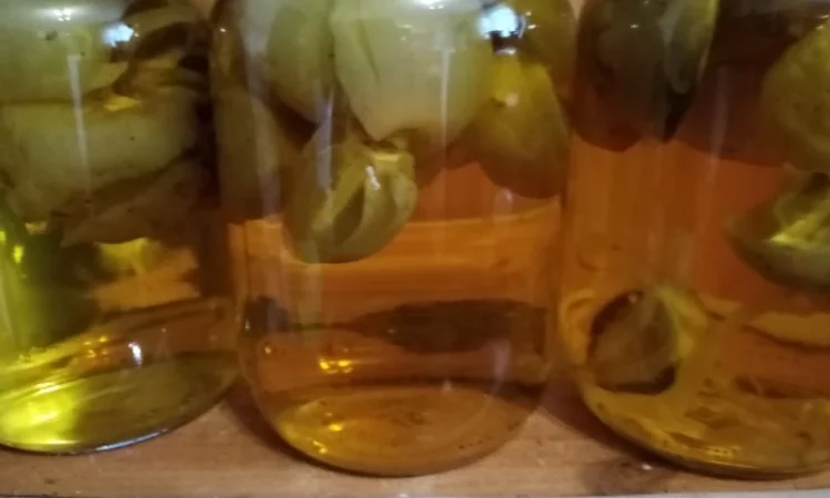 Продам настойку гриба веселка - фото № 1