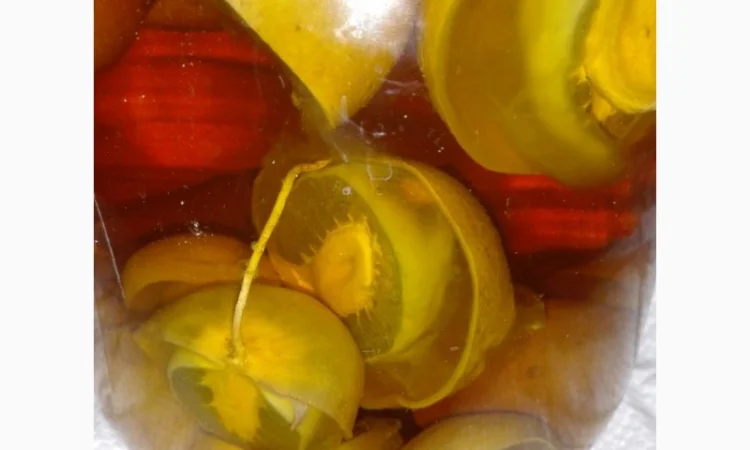 Веселка - фото № 1