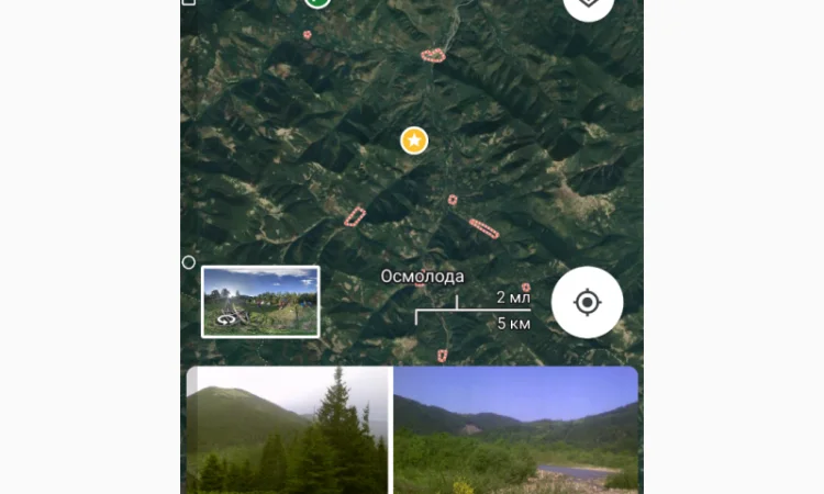 Сушені 35*C лисички гриби з Карпат - фото № 6