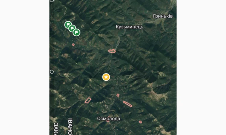 Сушені 35*C лисички гриби з Карпат - фото № 7