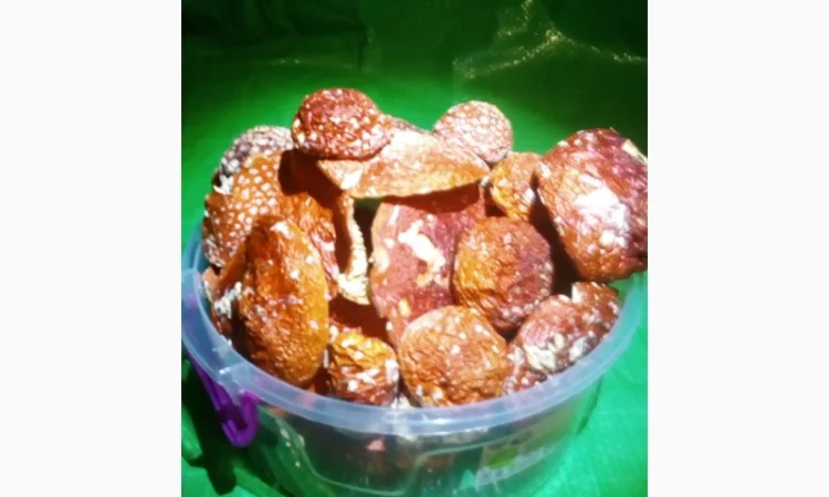 Мухомор червоний (красный): молоді шапочки сушені з Карпат - фото № 1