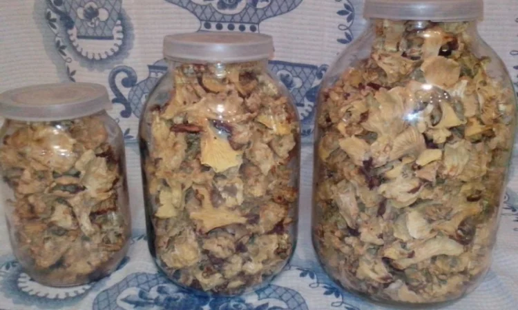 Лисички сушені - гриби – Карпати. Доставка по Києву - безплатно - фото № 1