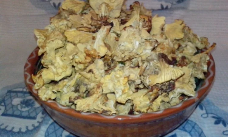 Лисички сушені - гриби – Карпати. Доставка по Києву - безплатно - фото № 2