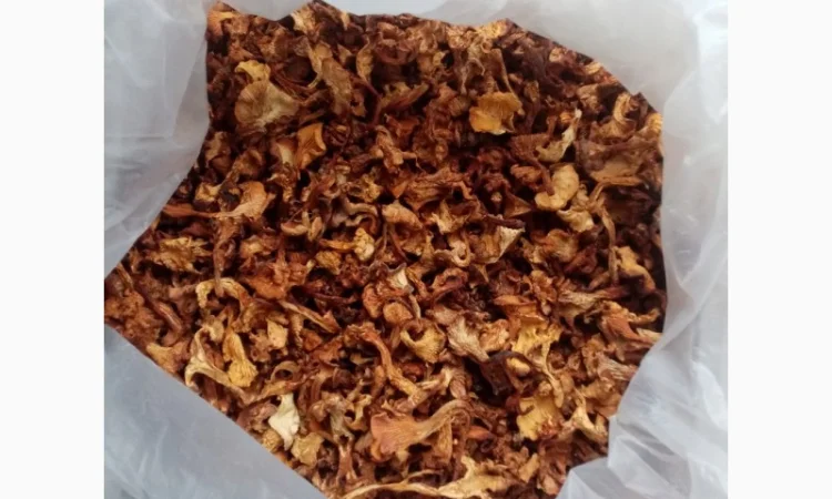 Продам сушену лисичку - фото № 1