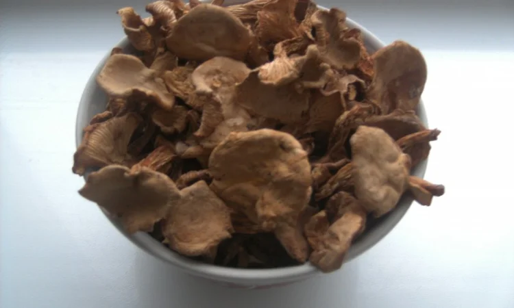 Грибы лисички, сушеные, недорого - фото № 2