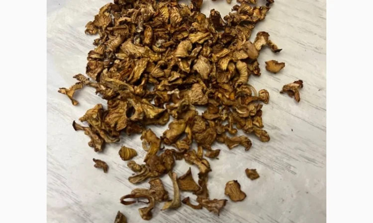 Продам сушену лисичку, збір 2023 - фото № 1