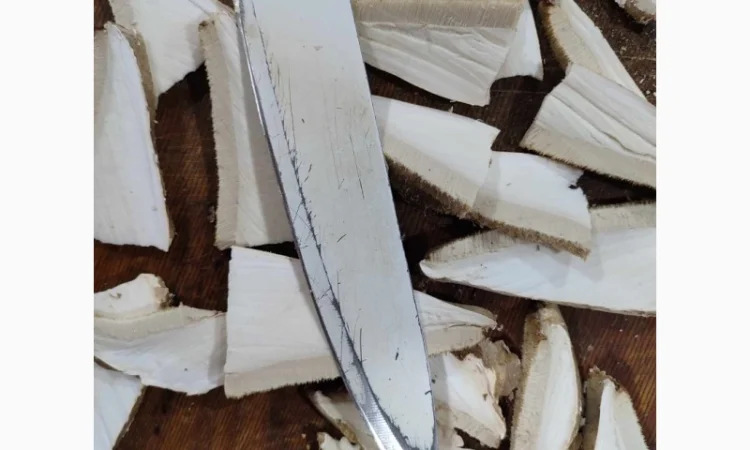 Продам трутовик березовий, або губку березову - фото № 2