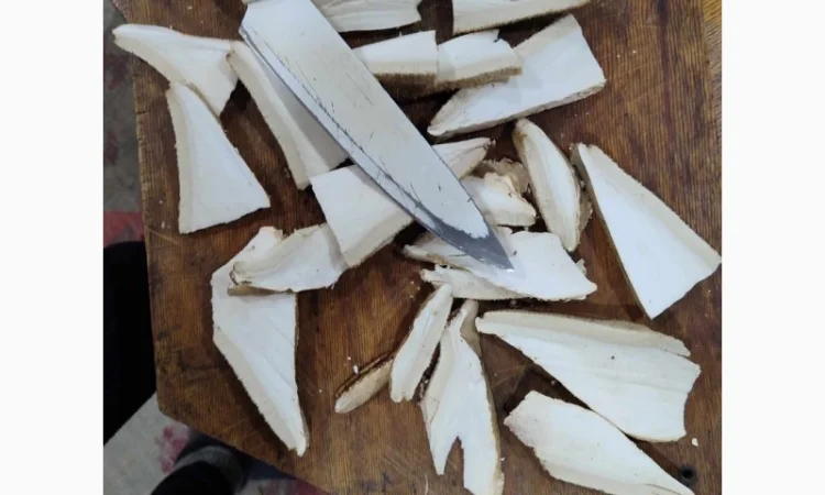 Продам трутовик березовий, або губку березову - фото № 8