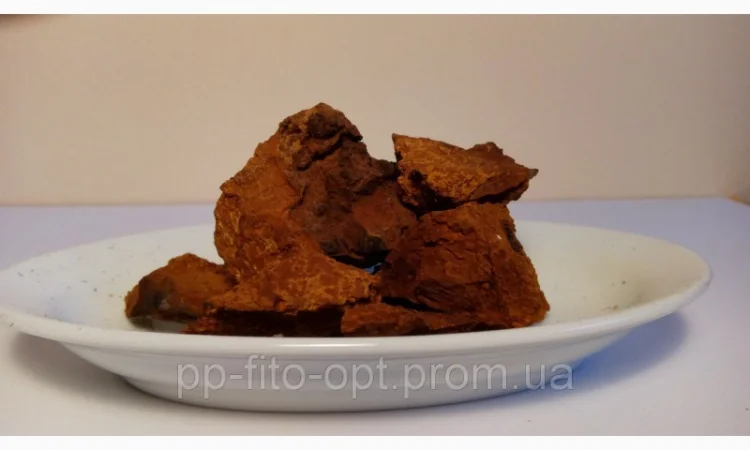 Продам березовый гриб чага 500 грам - фото № 1