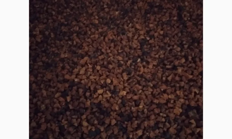 Гриб чага - фото № 1