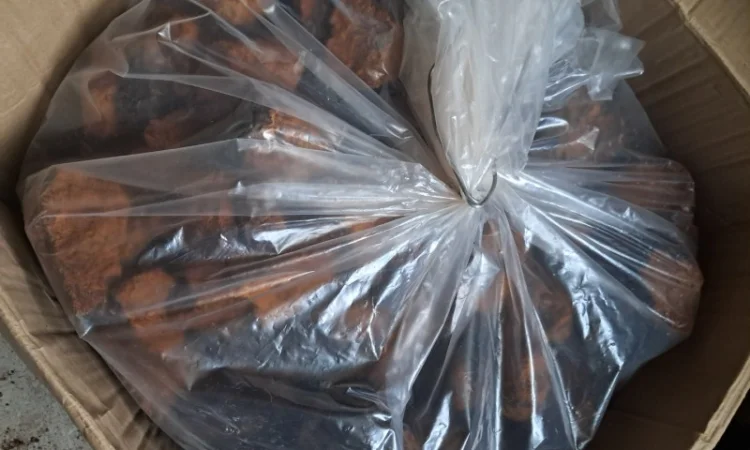 Продам березовий гриб (чага) сухий - фото № 3