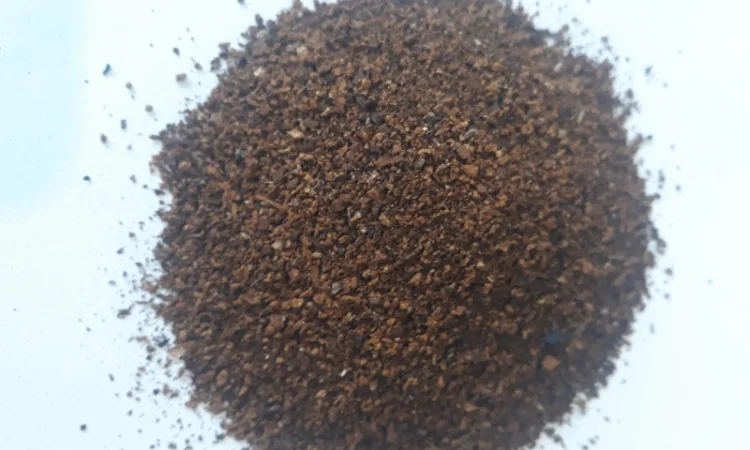 Чага дробленая - фото № 1