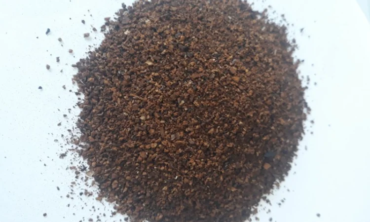 Чага дробленая - фото № 2