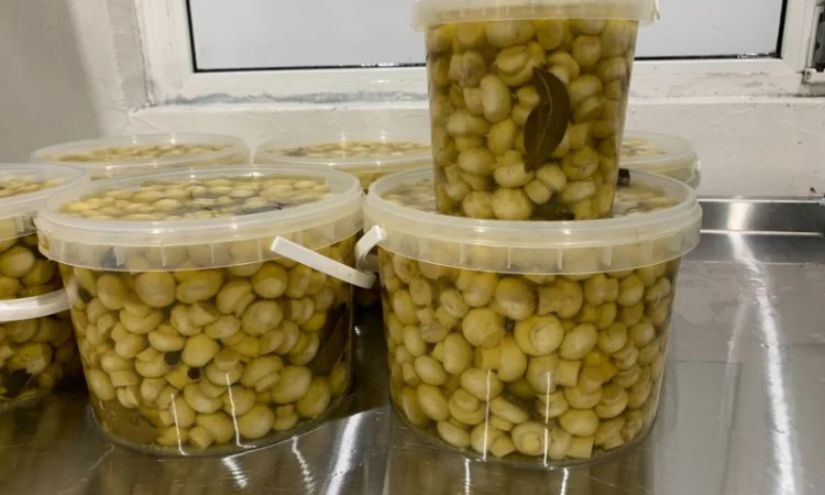 Продам гриби шампіньйони мариновані в пластикових відерцях - фото № 1