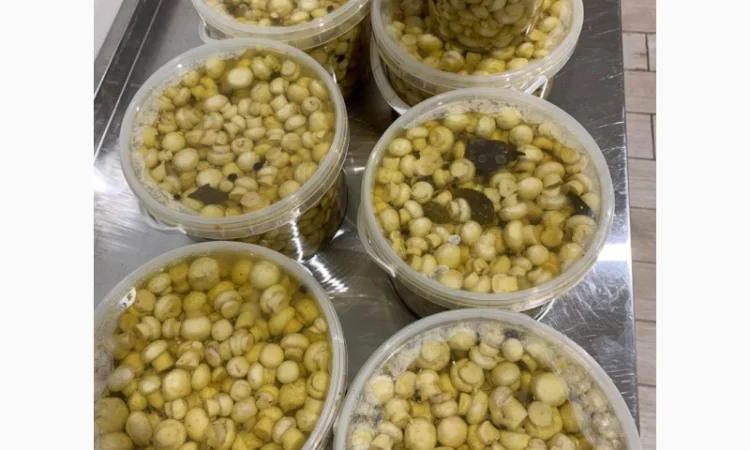 Продам гриби шампіньйони мариновані в пластикових відерцях - фото № 3