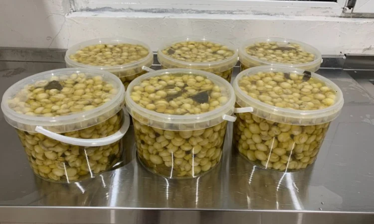 Продам гриби шампіньйони мариновані в пластикових відерцях - фото № 4