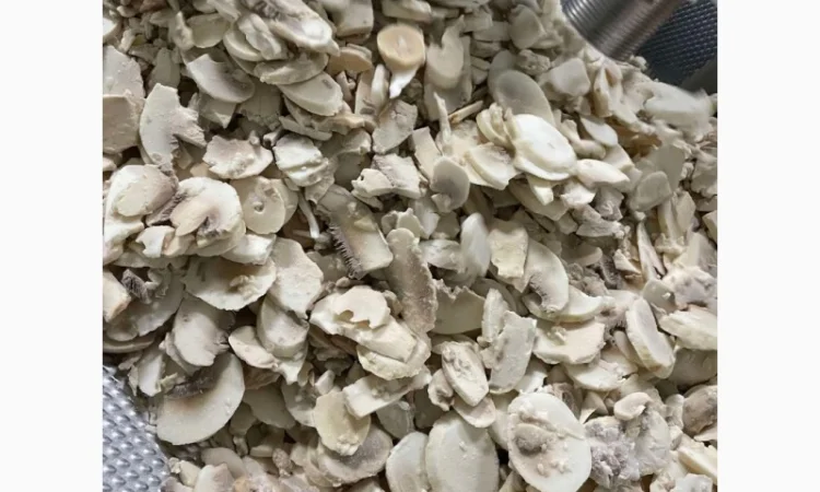 Продам гриб шампиньон замороженный - фото № 1