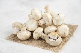 Куплю шампиньоны оптом от 3 ех тонн - фото № 1