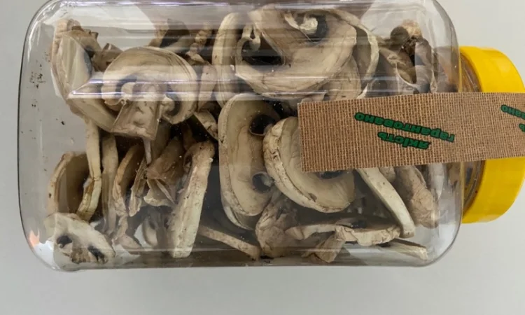 Гриби печериці сушені - фото № 8