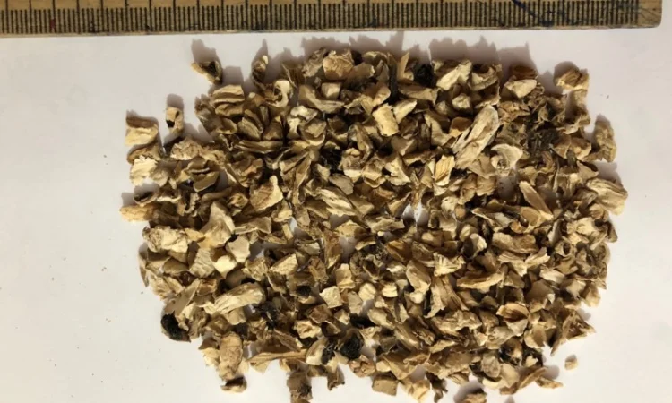 Гриби печериці сушені - фото № 2