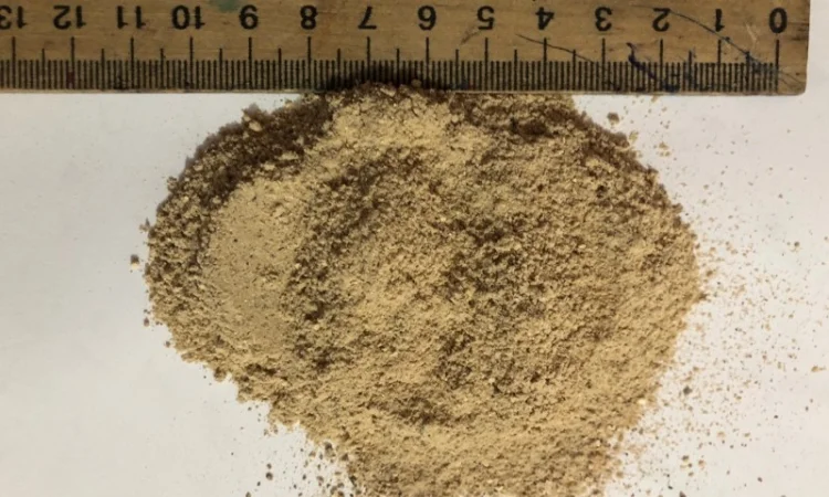 Гриби печериці сушені - фото № 4