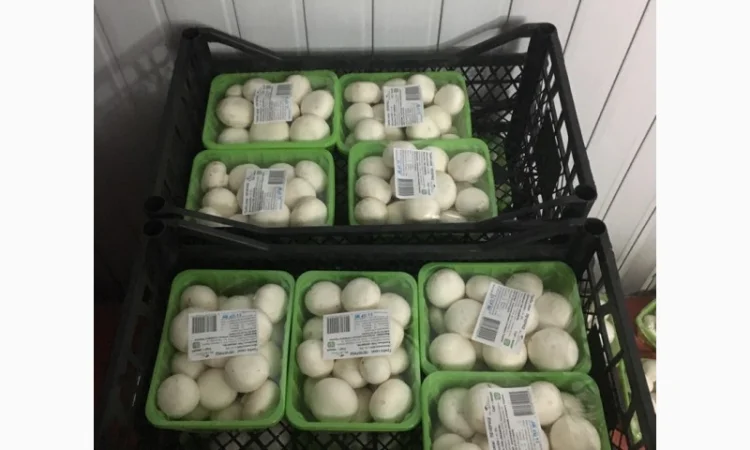 Грибы шампиньйоны фасованные - фото № 4