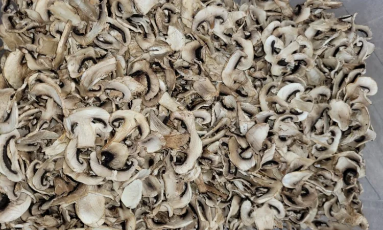 Шампиньоны сушеные слайсы - фото № 2