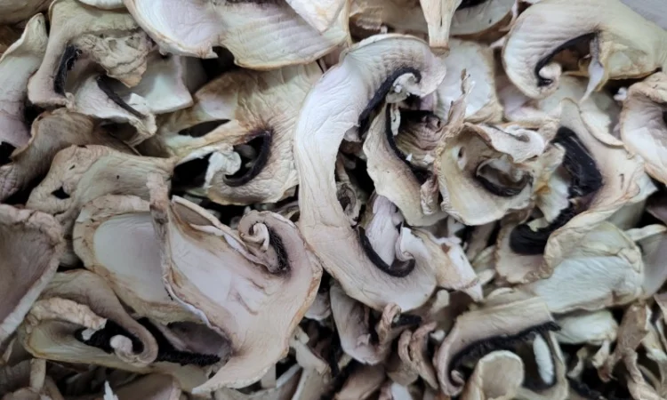 Шампиньоны сушеные слайсы - фото № 3