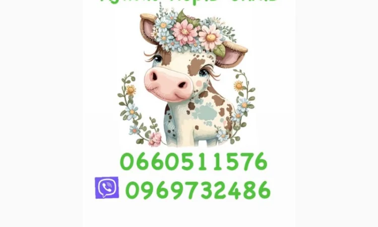 Куплю бичків коней поросят баранів корів - фото № 1