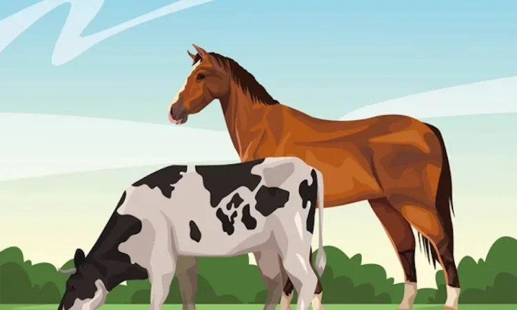 Заготівля ВРХ та коней - фото № 1