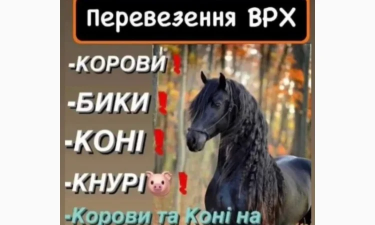 Врх на тримання - фото № 1