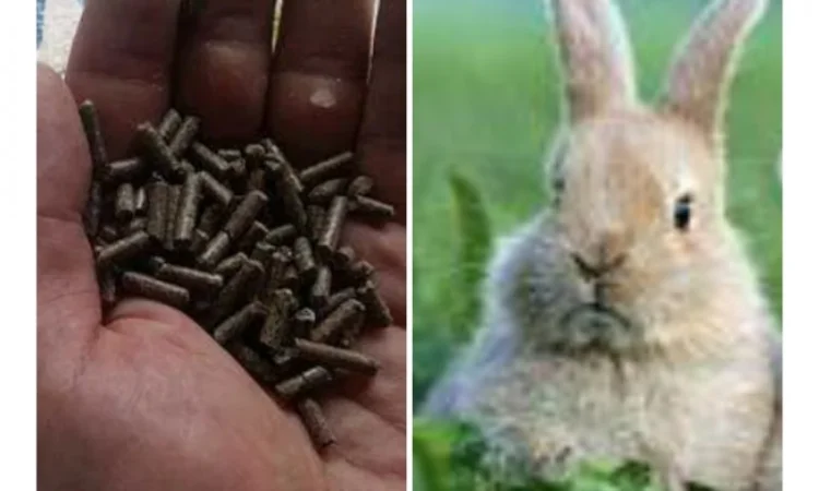 Продам универсальный корм для кролей - фото № 1