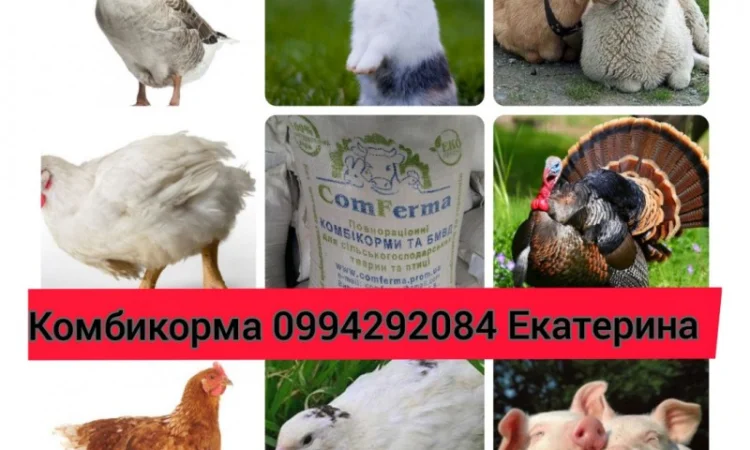 Продам универсальный корм для кролей - фото № 4