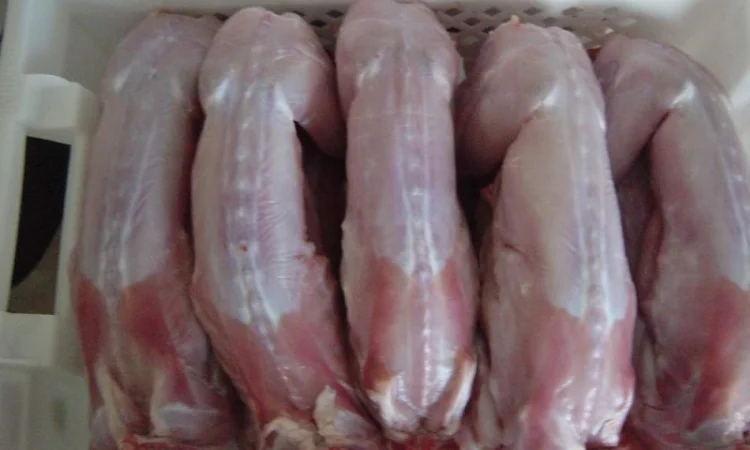 Кролеферма продаж мяса - фото № 2