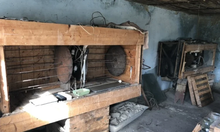 Кроличка, крольчата, кролики на плем'я - фото № 1