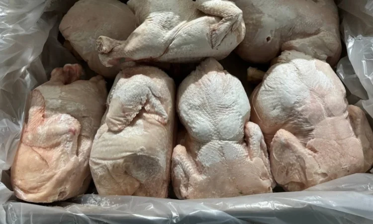 Продается замороженная курица от экспортной компании, от 20 тонн - фото № 3