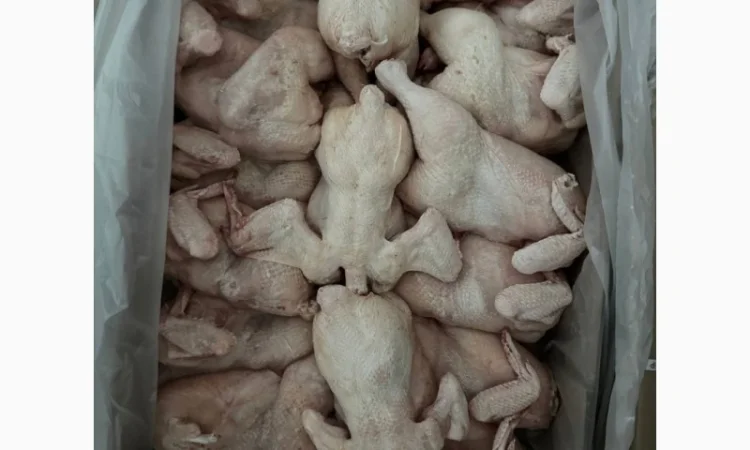 Продается замороженная курица от экспортной компании, от 20 тонн - фото № 5