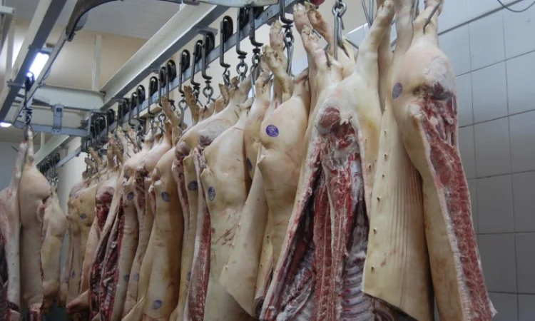 Продам свиниу и говядину охлажденую от производителя с 20 тонн - фото № 4