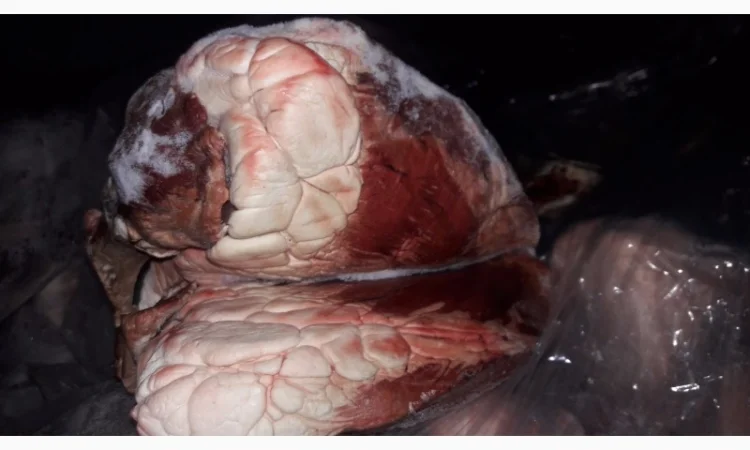 Субпродукты свиные, говяжьи - фото № 1