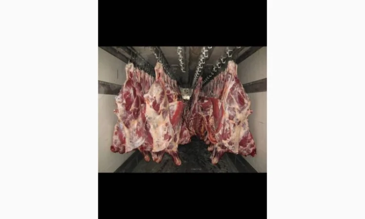 Мясо телятины, говядины и конины - фото № 4