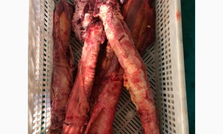 Субпродукты говяжьи и конские - фото № 5