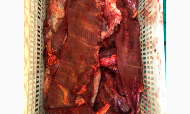 Субпродукты говяжьи и конские - фото № 7