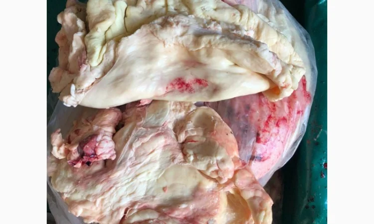 Корм для собак, субпродукты, мясо - фото № 11