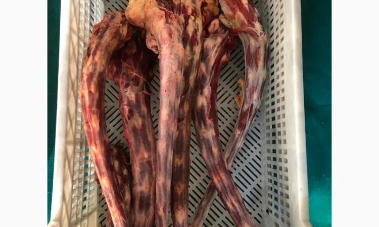 Корм для собак, субпродукты, мясо - фото № 4