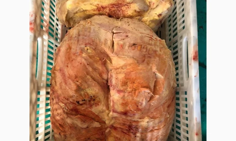 Корм для собак, субпродукты, мясо - фото № 8